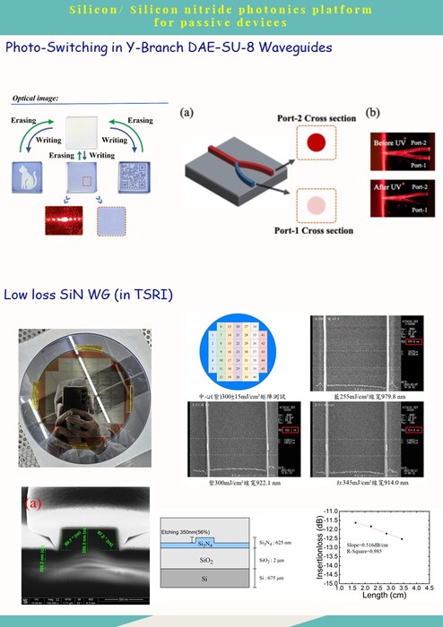 2026.05.01_VOL.39圖片